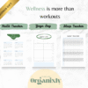The Ultimate Fitness Planner for Coaches